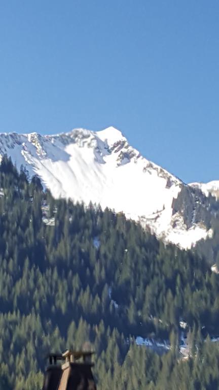 Le Chardon Bleu Châtel